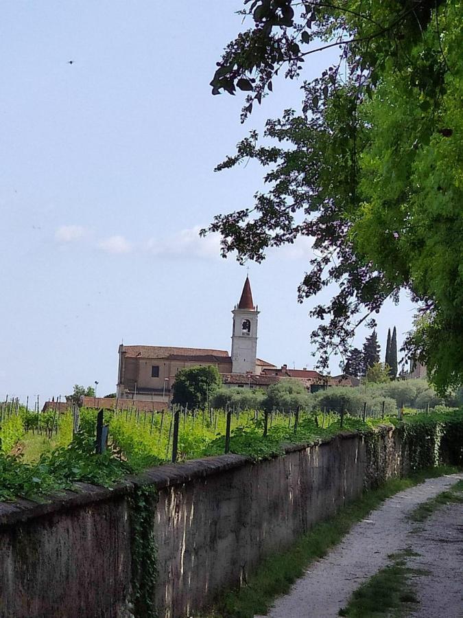Private Garden Giardino Privato A Bardolino - House Amorino 外观 照片